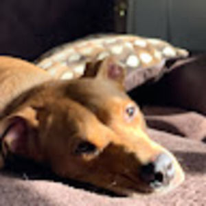 Meet your Posher, Liv